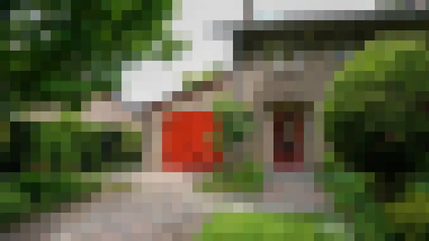 Quaedvlieglaan 1 Landgraaf thumbnail 8