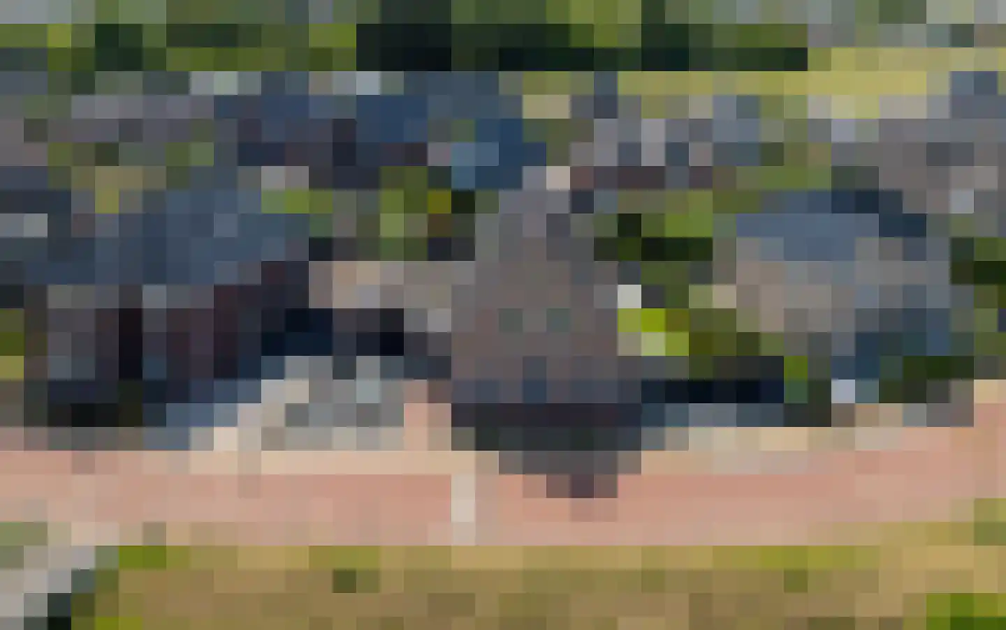 Quaklaan 22 Zuidland thumbnail 10