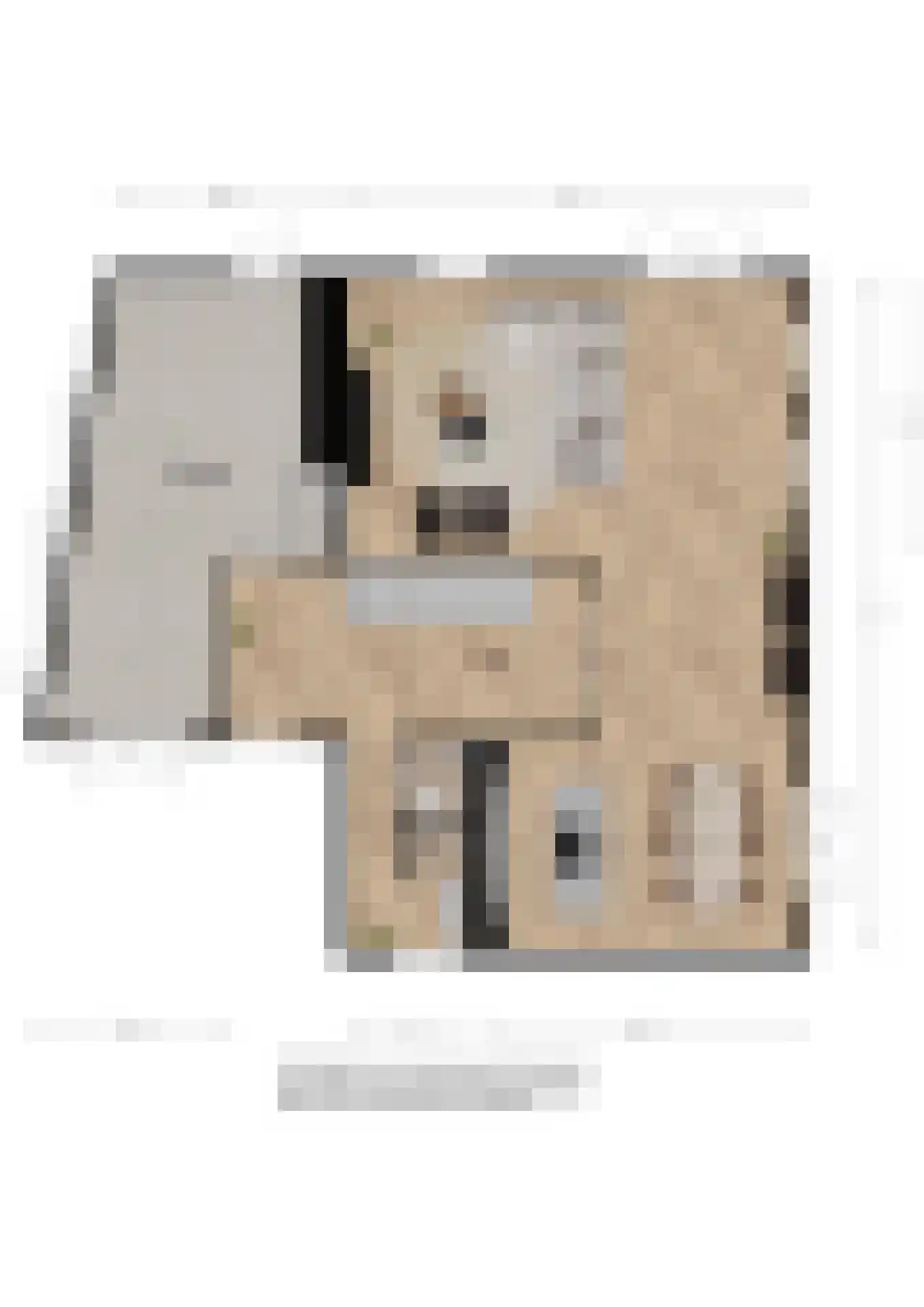 Quaklaan 22 Zuidland thumbnail 12