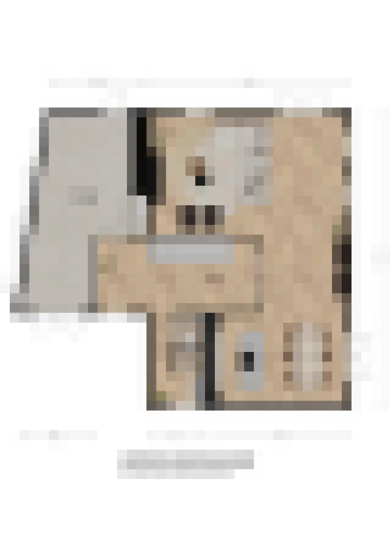 Quaklaan 22 Zuidland thumbnail 13