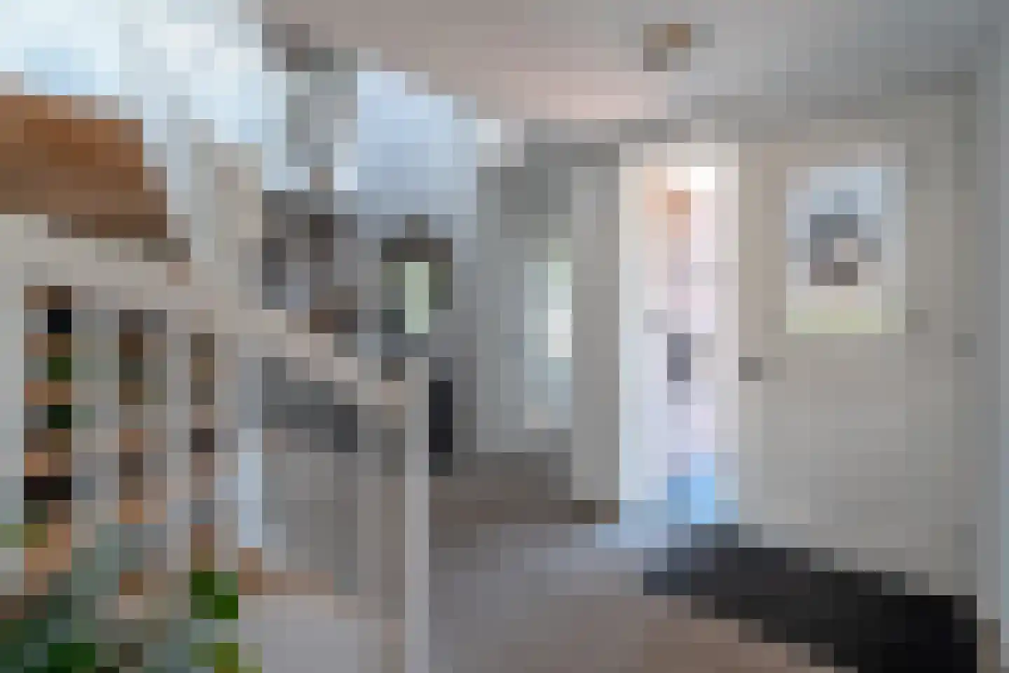 Quaklaan 22 Zuidland thumbnail 17