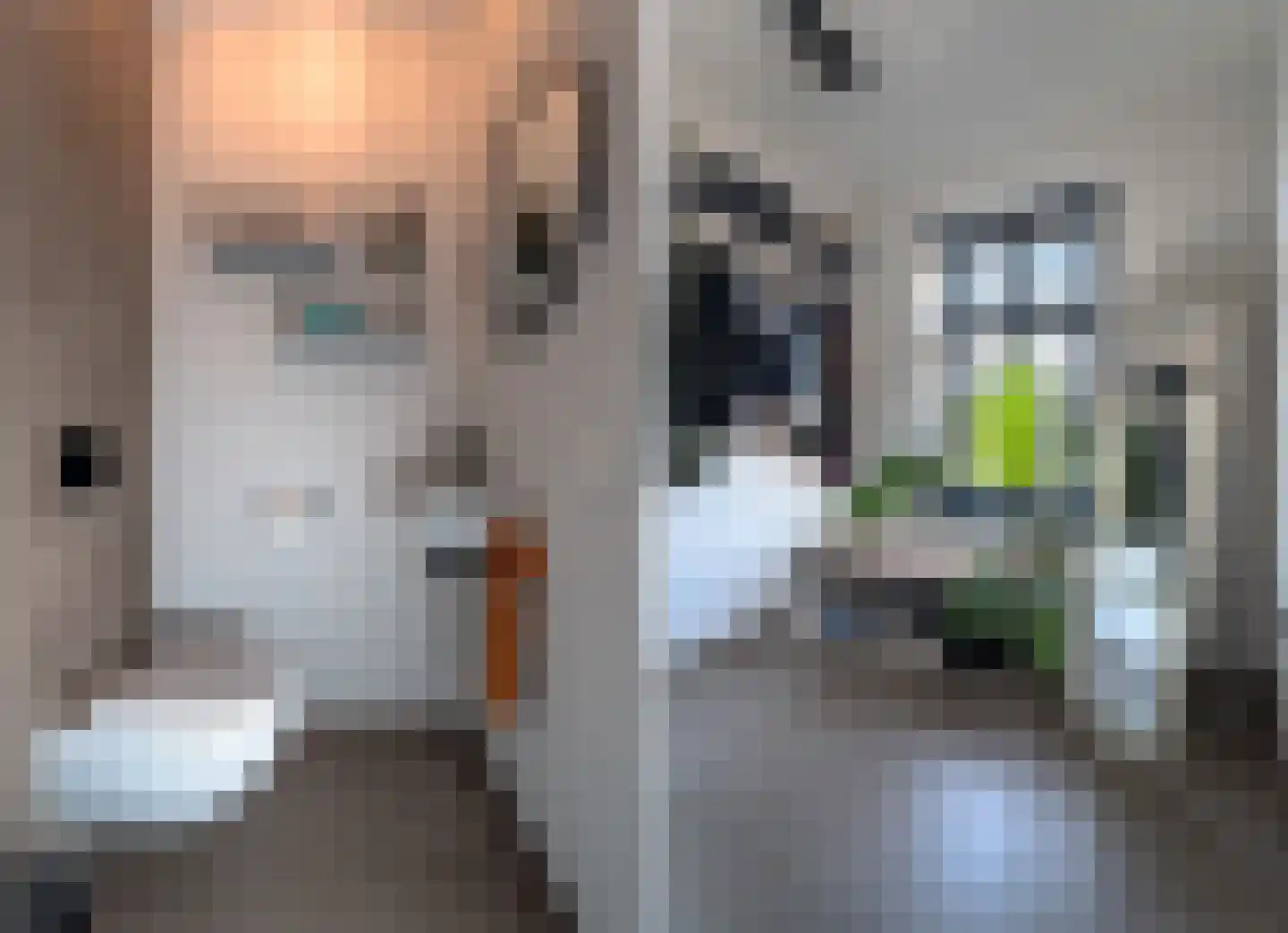 Quaklaan 22 Zuidland thumbnail 18
