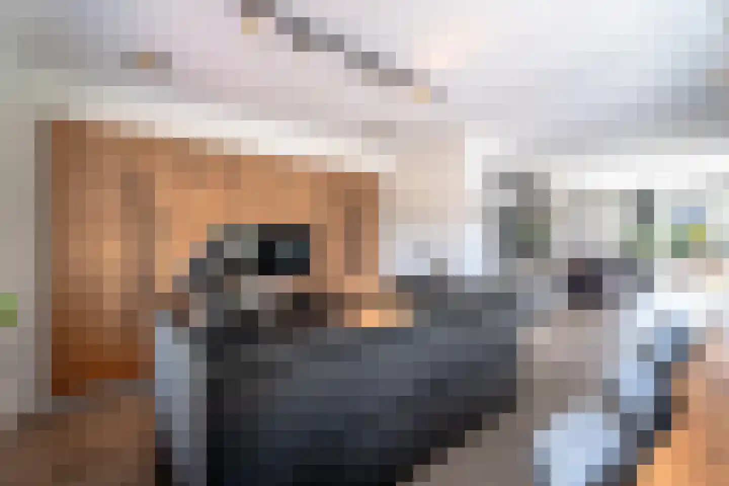 Quaklaan 22 Zuidland thumbnail 21