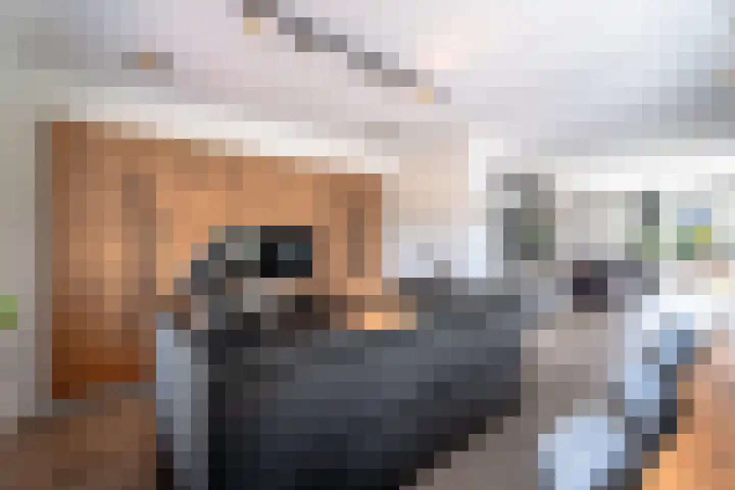 Quaklaan 22 Zuidland thumbnail 22
