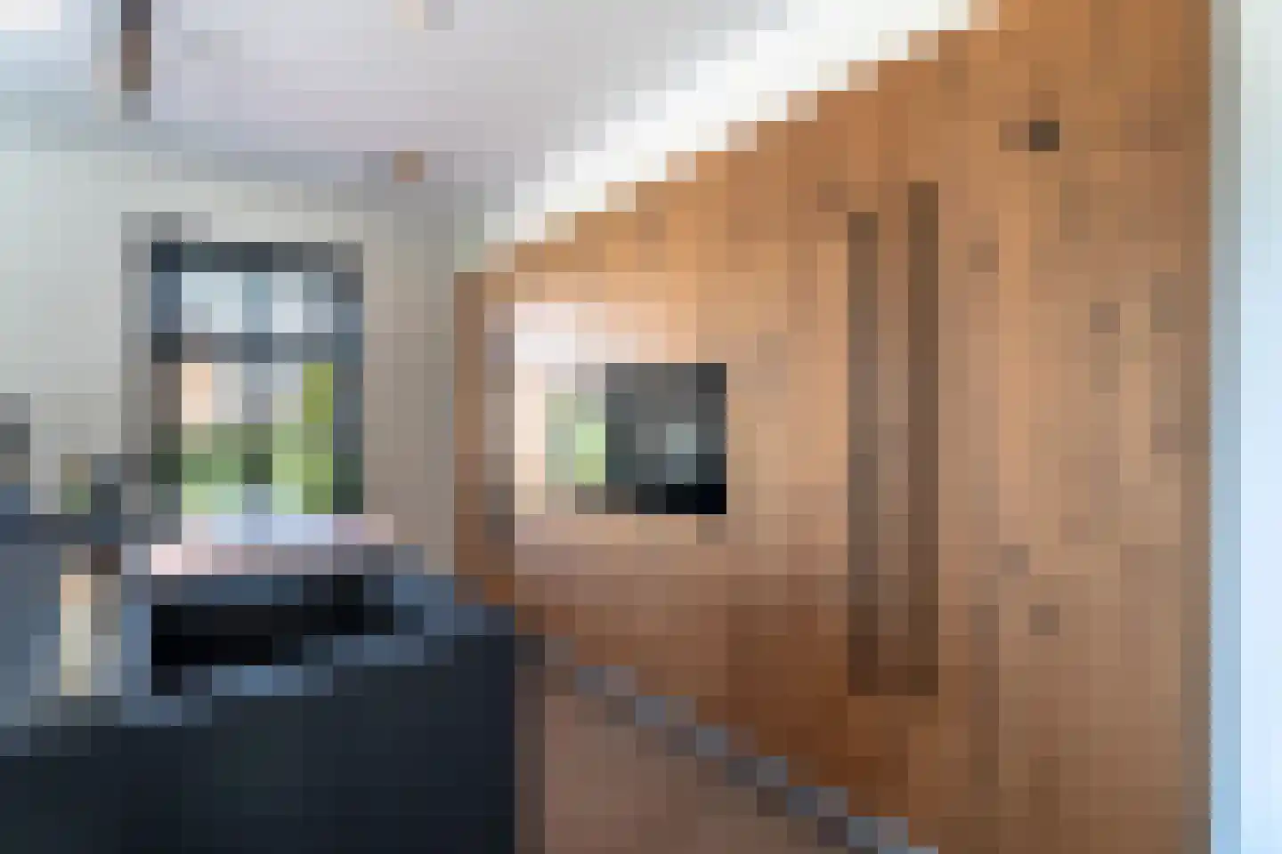 Quaklaan 22 Zuidland thumbnail 23