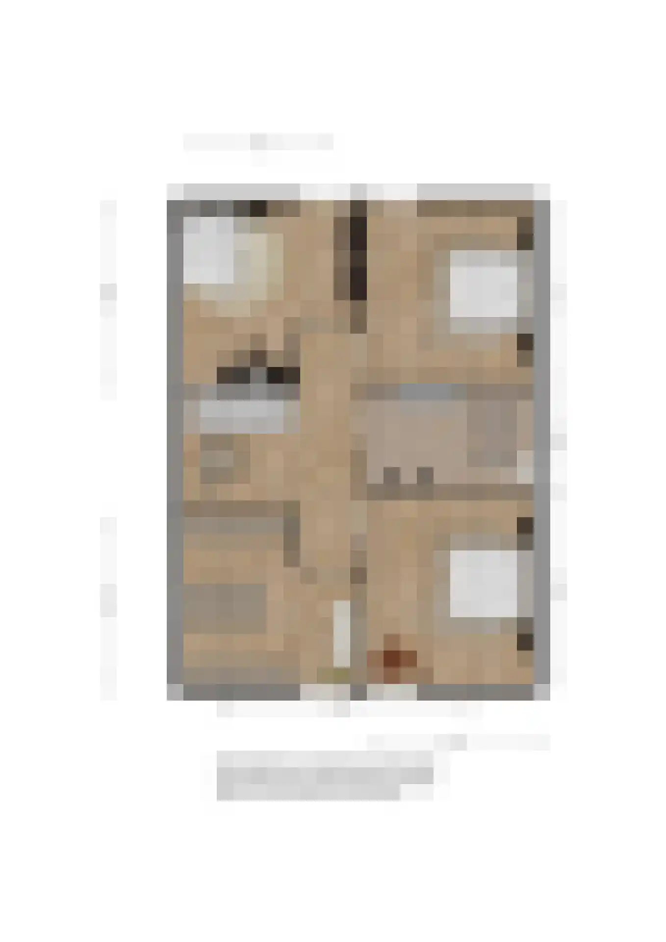 Quaklaan 22 Zuidland thumbnail 37