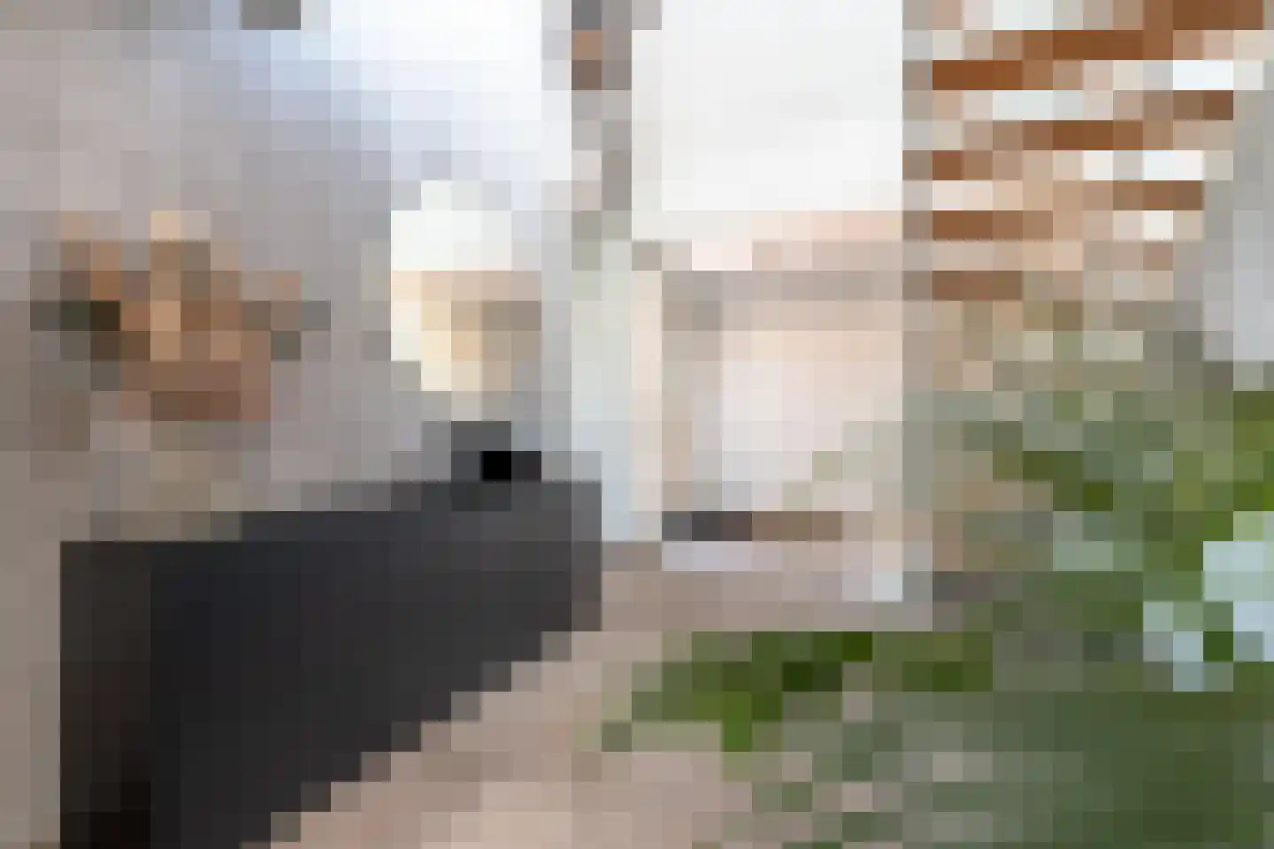 Quaklaan 22 Zuidland thumbnail 37