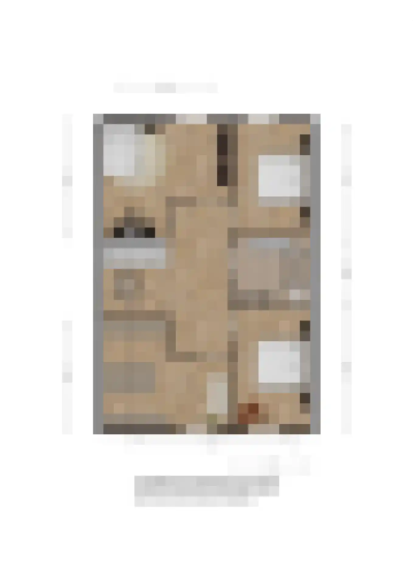 Quaklaan 22 Zuidland thumbnail 38