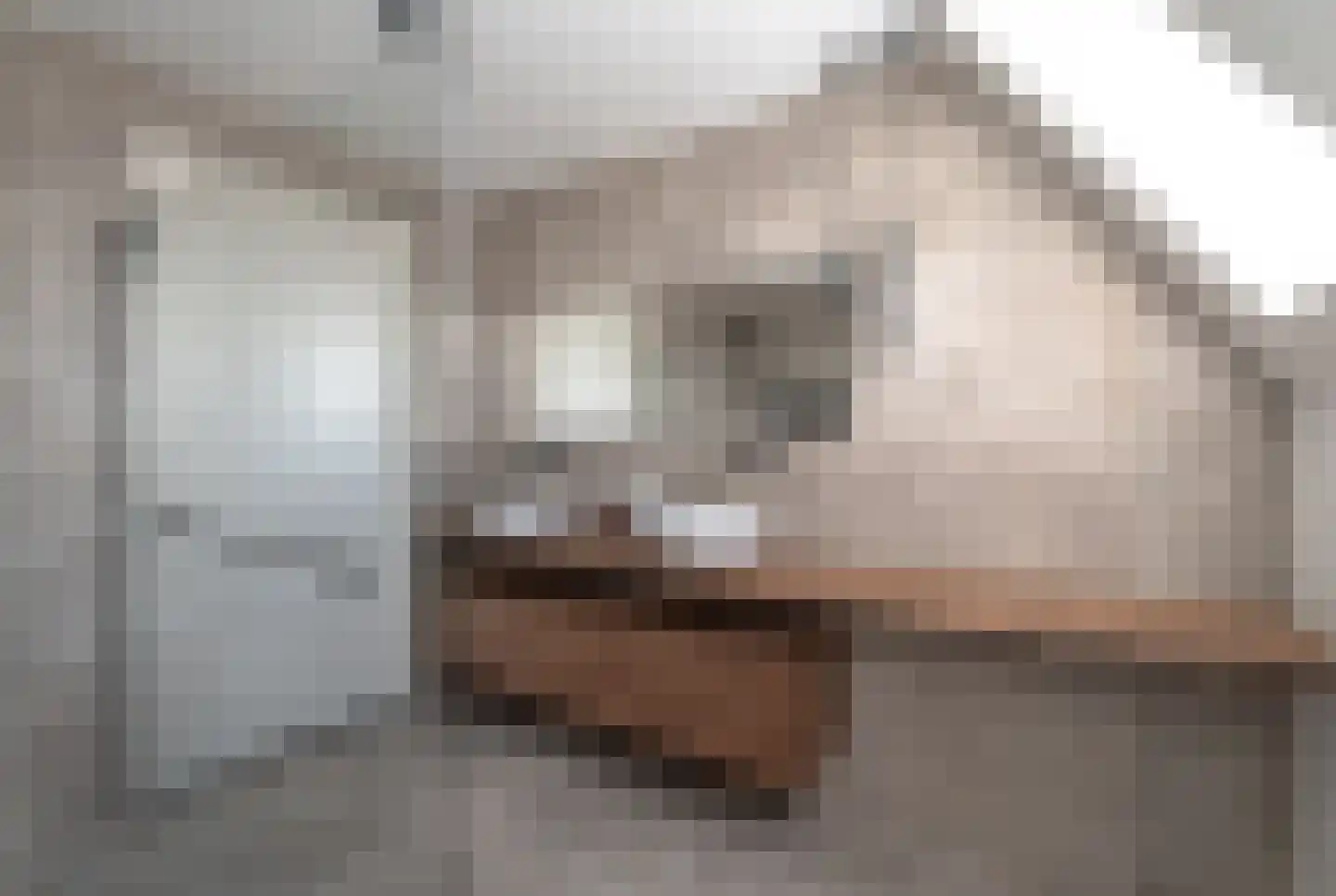 Quaklaan 22 Zuidland thumbnail 48