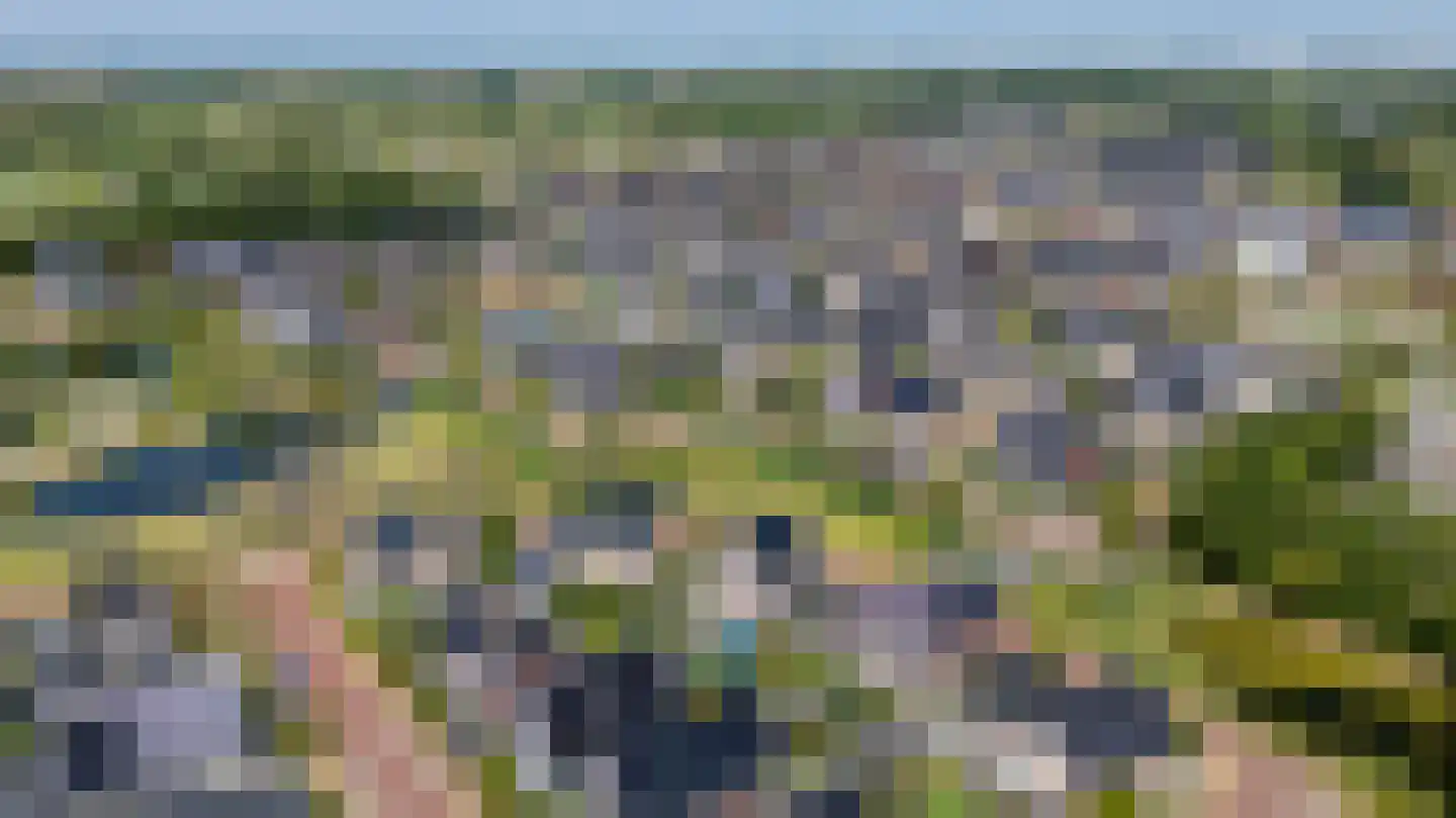 Quaklaan 22 Zuidland thumbnail 56