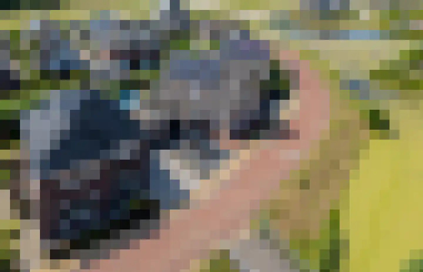 Quaklaan 22 Zuidland thumbnail 6