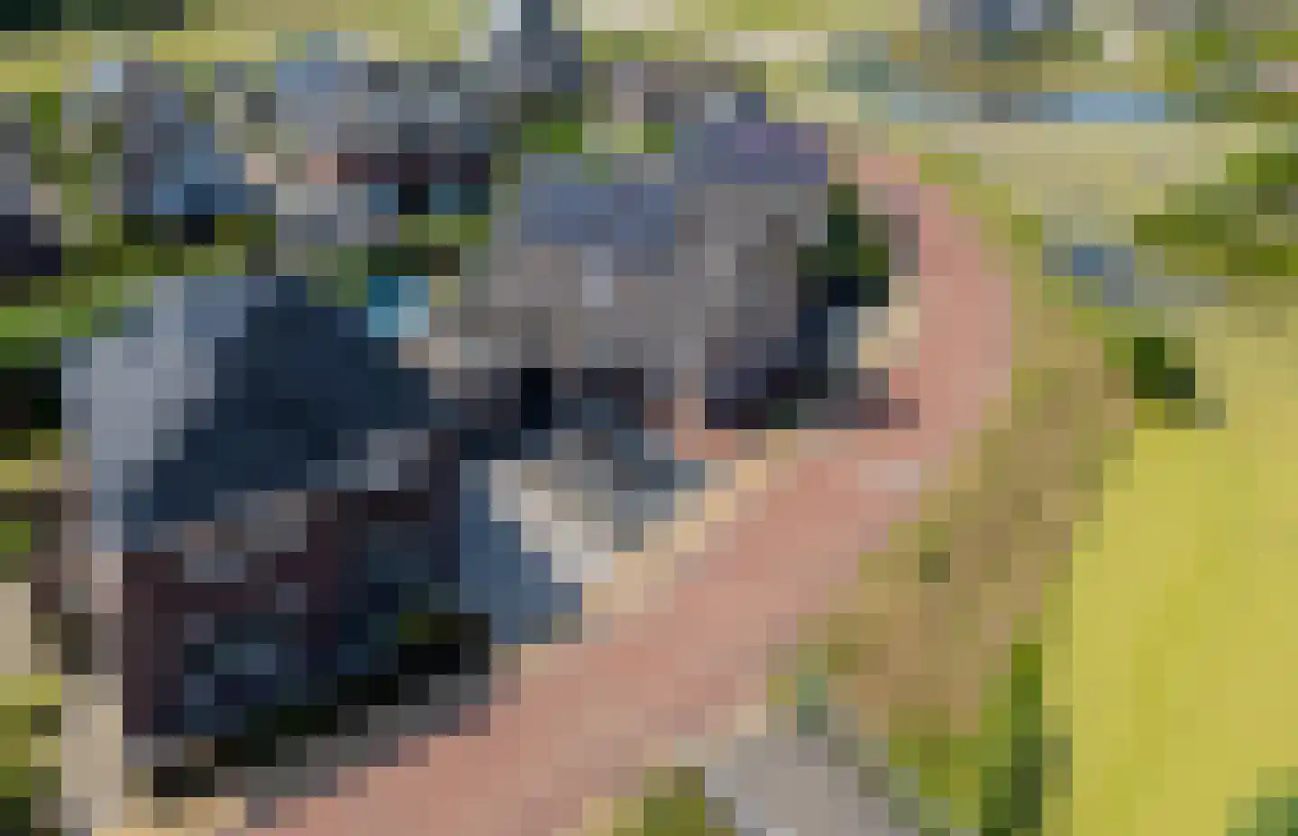 Quaklaan 22 Zuidland thumbnail 7