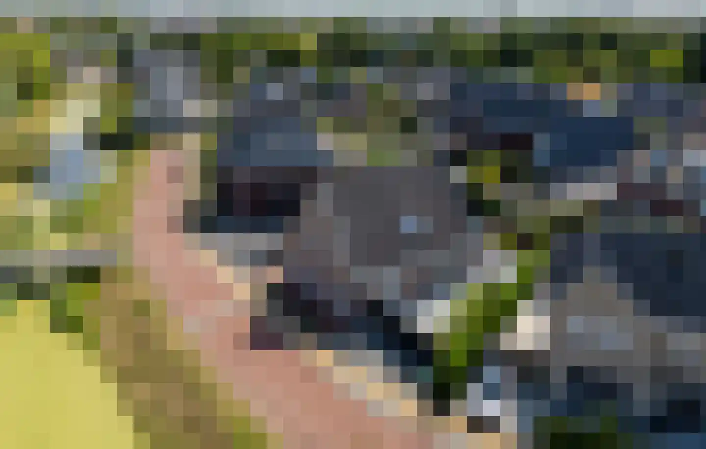 Quaklaan 22 Zuidland thumbnail 8