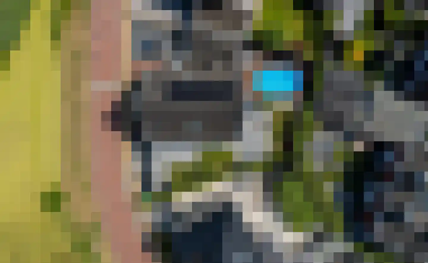 Quaklaan 22 Zuidland thumbnail 8