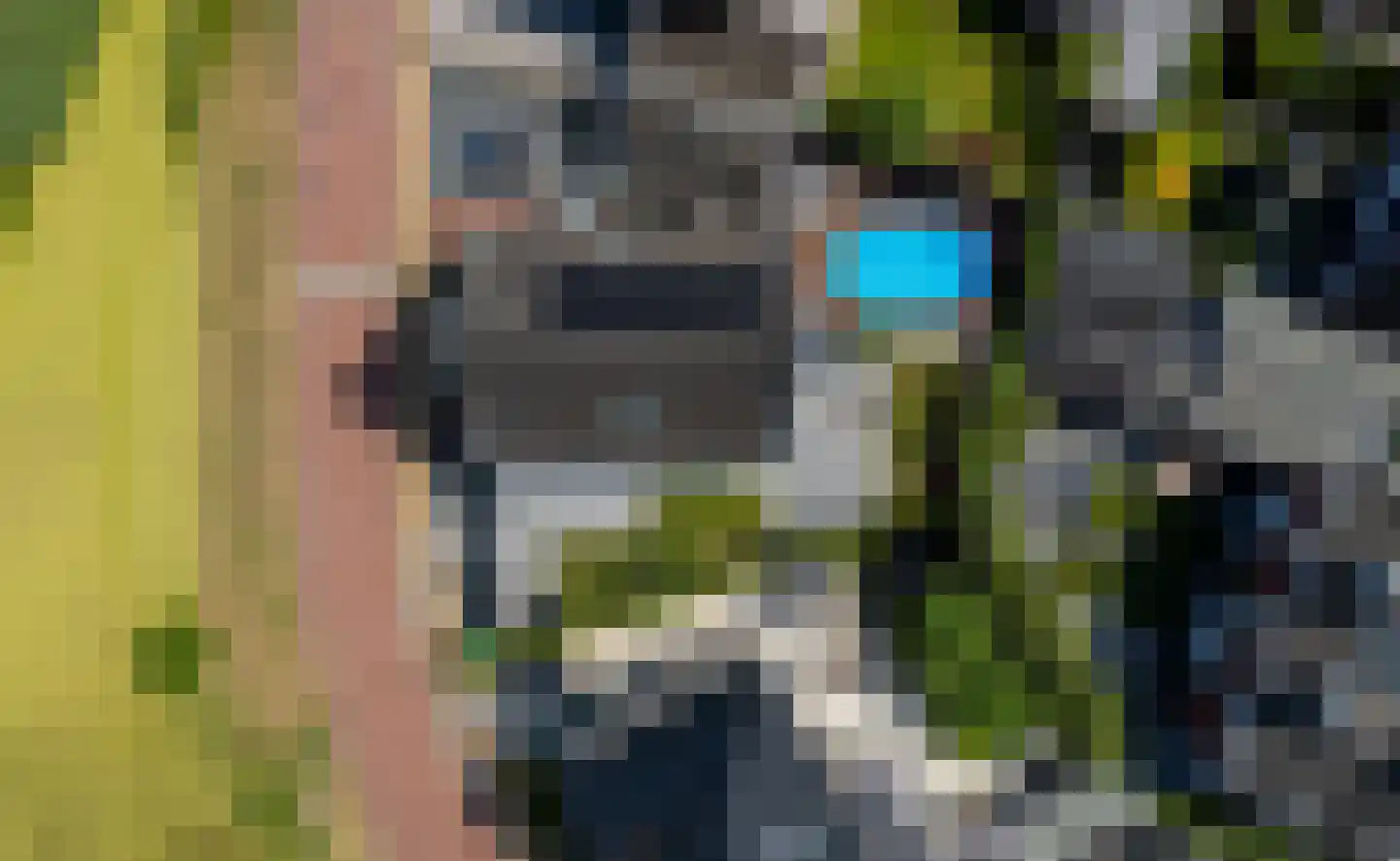 Quaklaan 22 Zuidland thumbnail 9