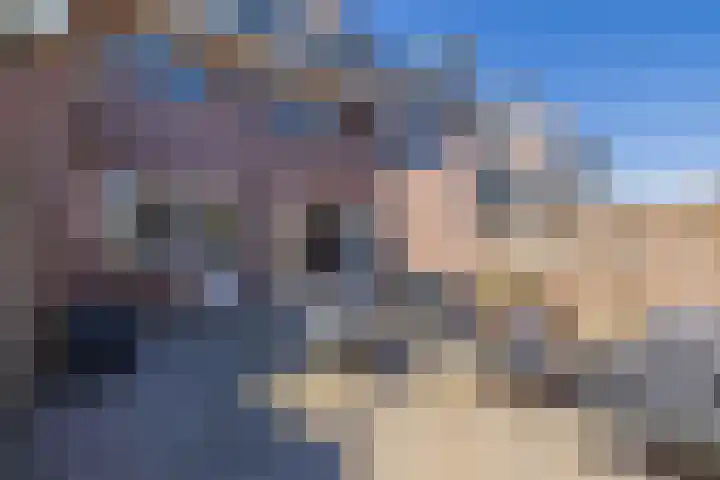 Quarles van Uffordstraat 102 Noordwijk thumbnail 12