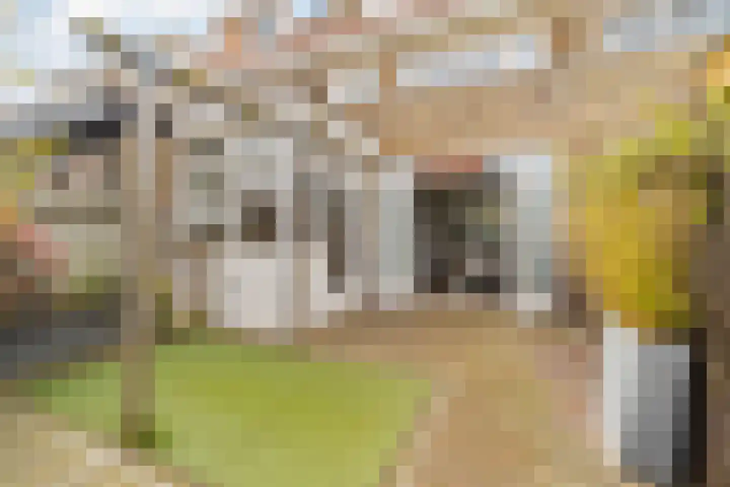 Quarles van Uffordstraat 40 Noordwijk thumbnail 13