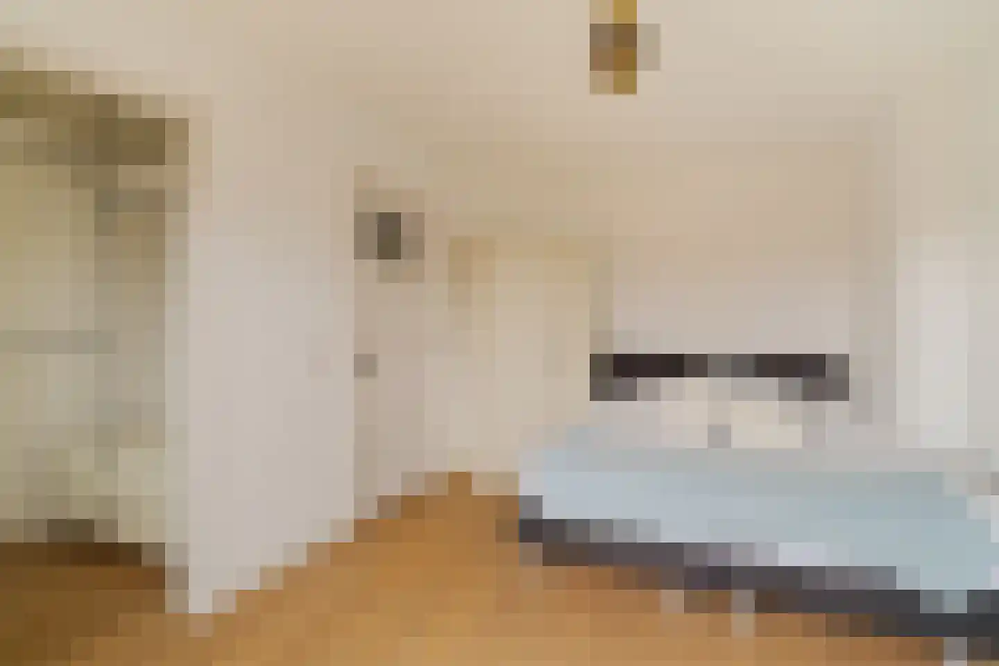 Quarles van Uffordstraat 40 Noordwijk thumbnail 19