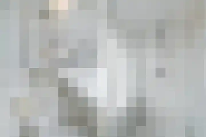 Quarles van Uffordstraat 73 Noordwijk thumbnail 4