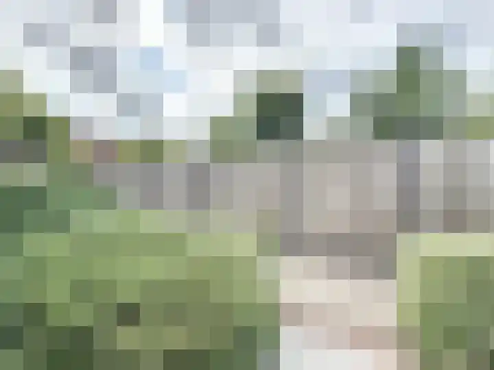 Quarles van Uffordweg 18 Oostburg thumbnail 31