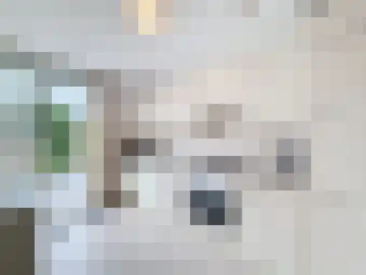 Quarles van Uffordweg 18 Oostburg thumbnail 9