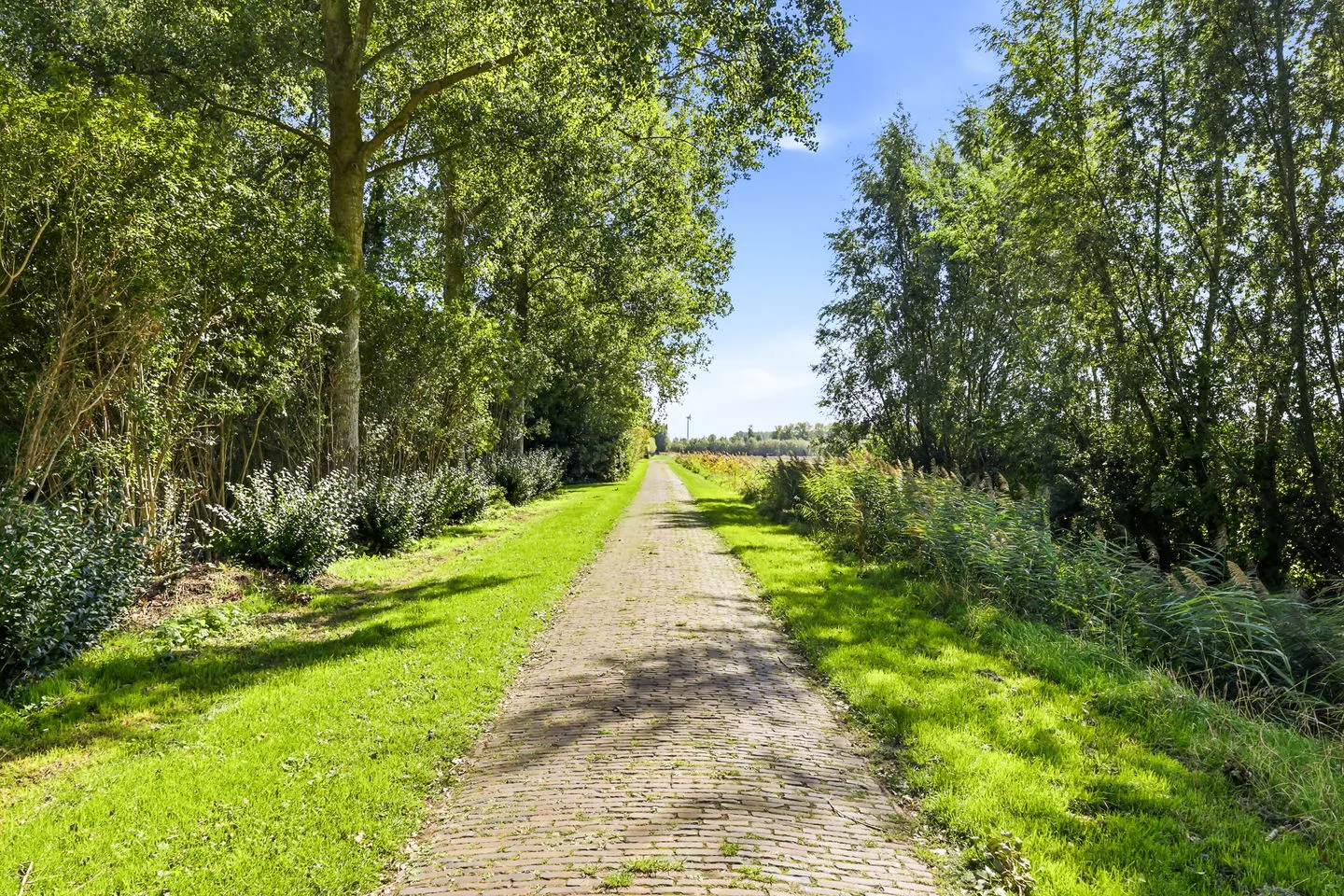 Quarleshavenstraat 19 Nieuw- en Sint Joosland thumbnail 46