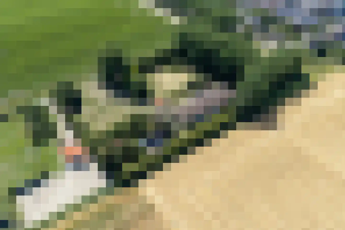 Quarleshavenstraat 31 Nieuw- en Sint Joosland