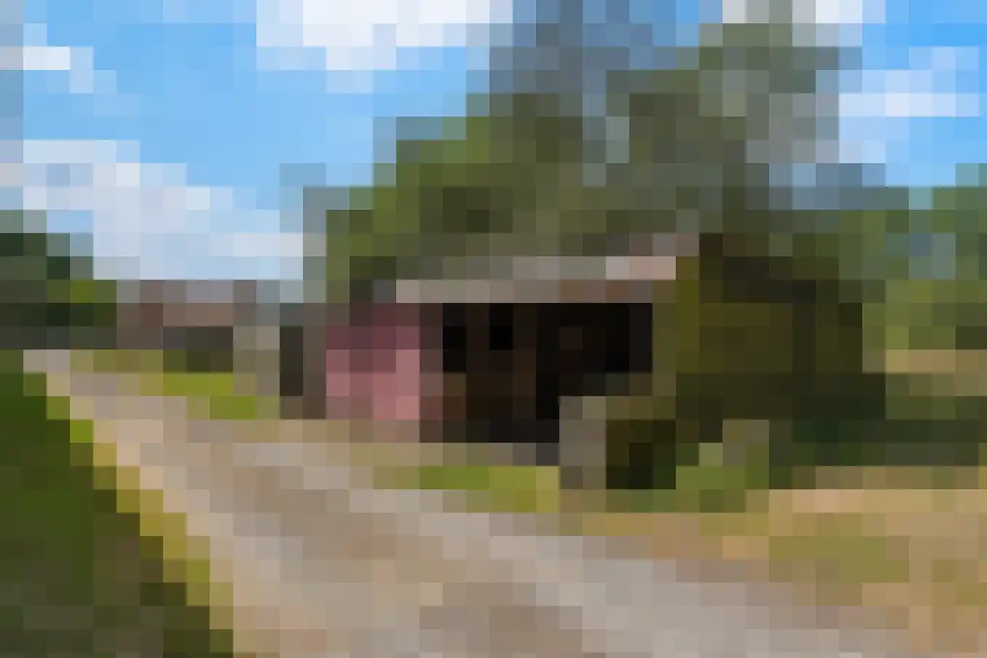 Quarleshavenstraat 31 Nieuw- en Sint Joosland thumbnail 11