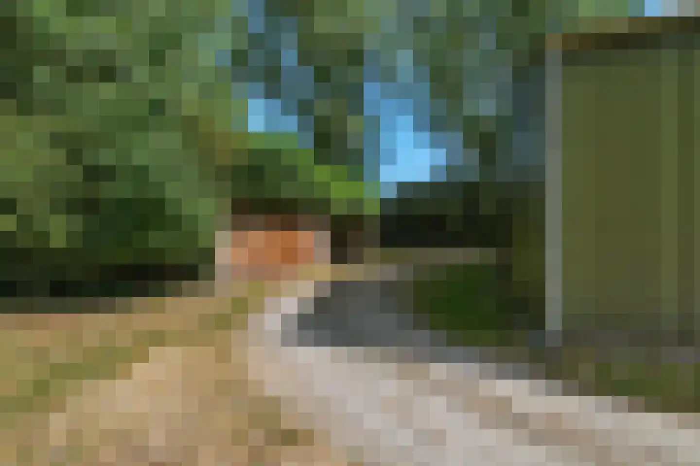 Quarleshavenstraat 31 Nieuw- en Sint Joosland thumbnail 14