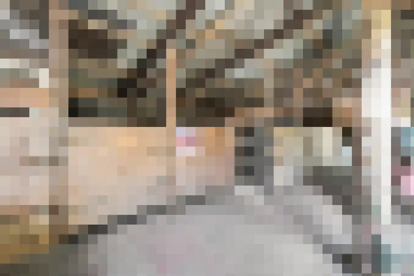 Quarleshavenstraat 31 Nieuw- en Sint Joosland thumbnail 16