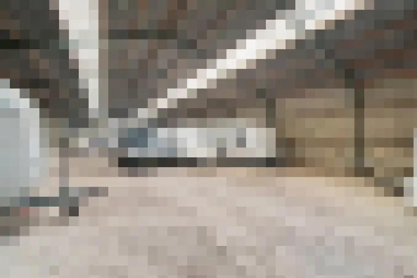 Quarleshavenstraat 31 Nieuw- en Sint Joosland thumbnail 22