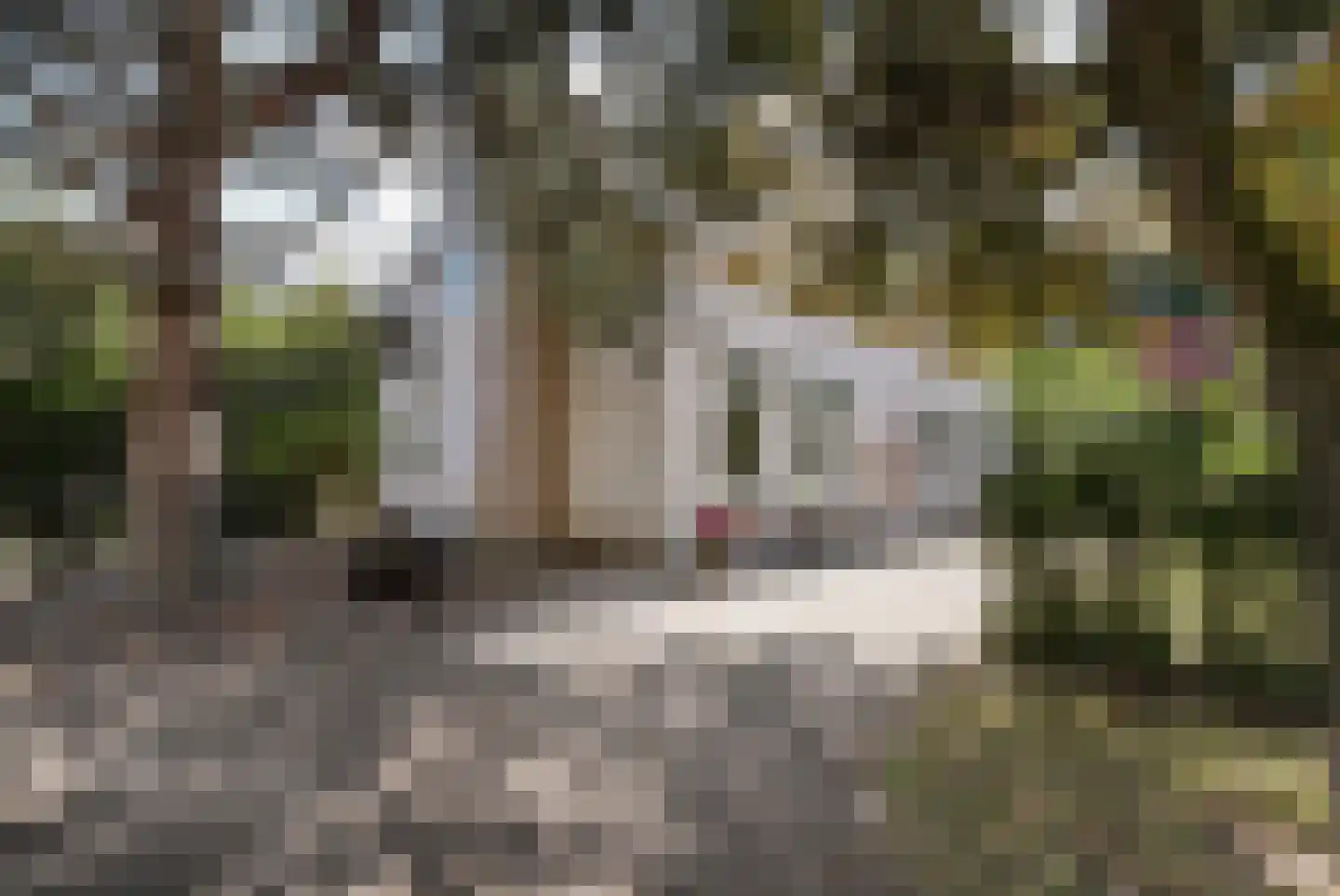 Quarleshavenstraat 31 Nieuw- en Sint Joosland thumbnail 23