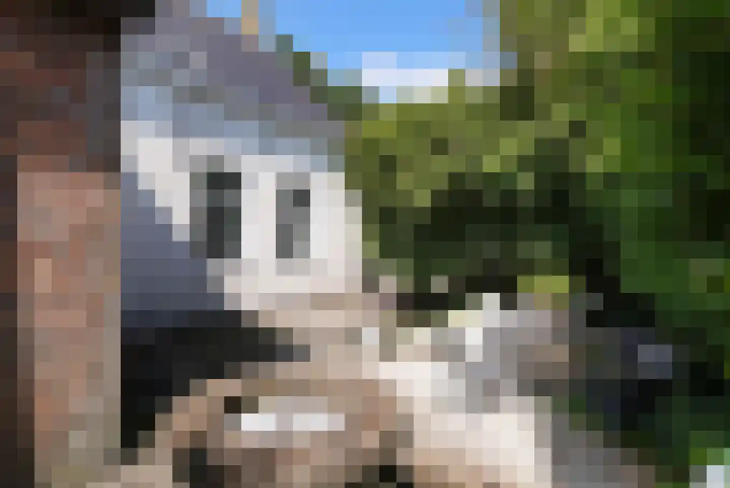 Quarleshavenstraat 31 Nieuw- en Sint Joosland thumbnail 25