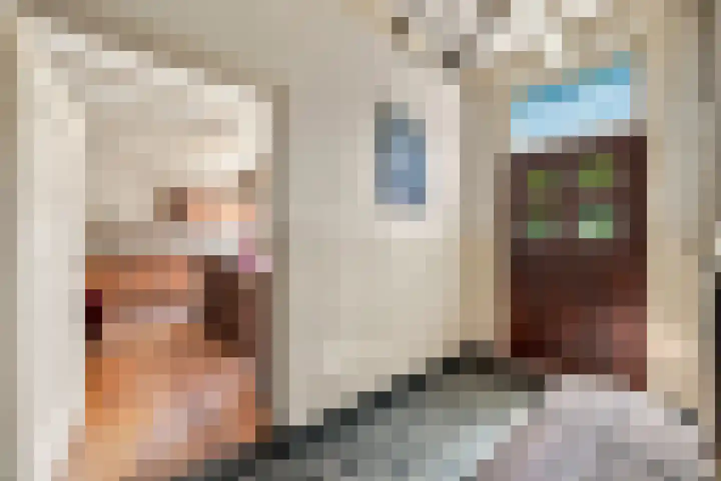 Quarleshavenstraat 31 Nieuw- en Sint Joosland thumbnail 27