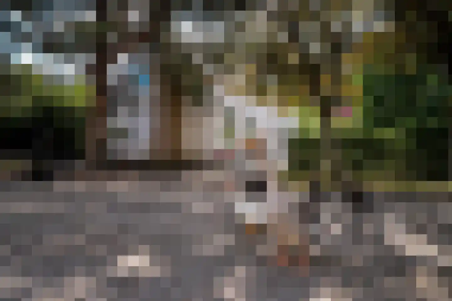 Quarleshavenstraat 31 Nieuw- en Sint Joosland thumbnail 4