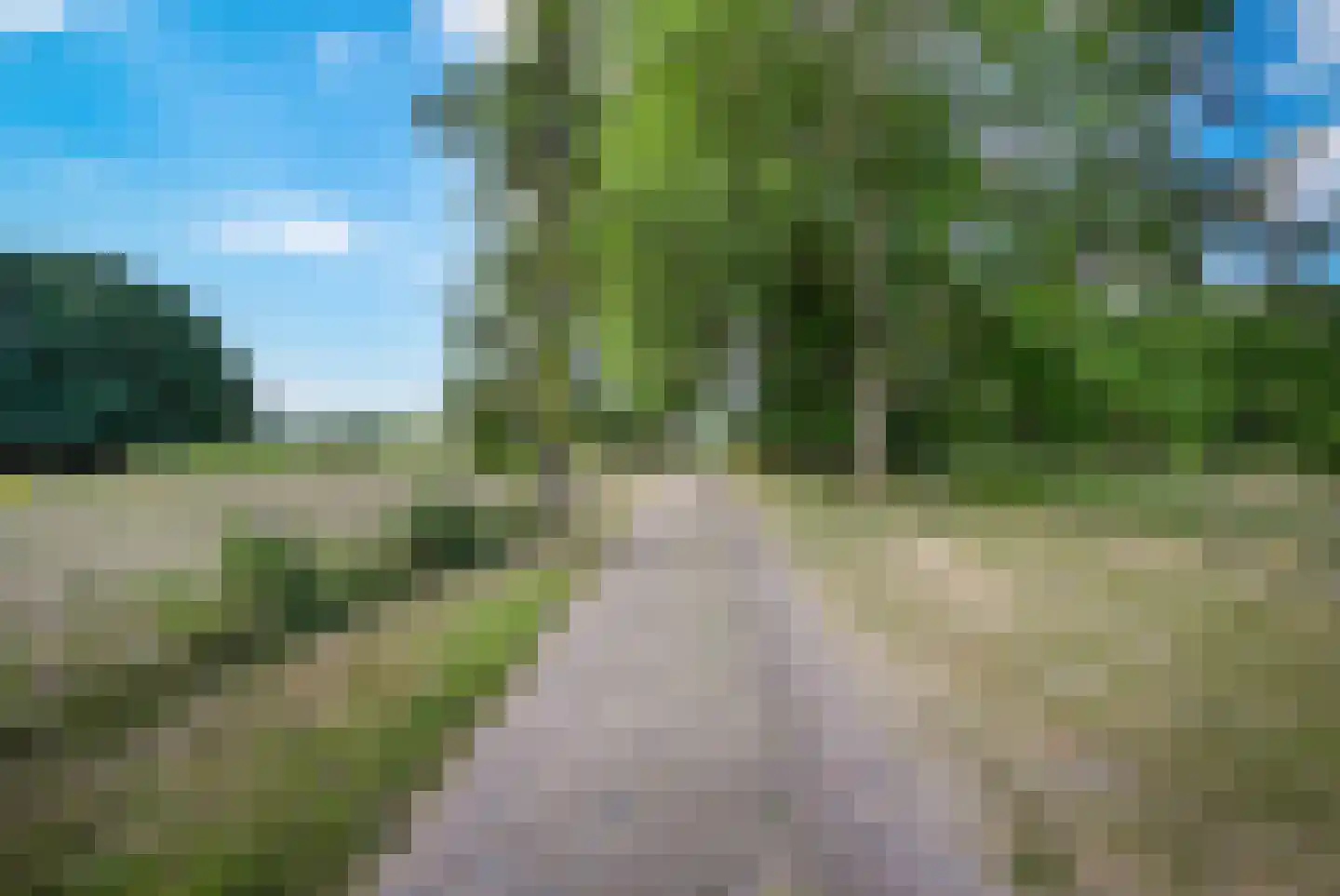 Quarleshavenstraat 31 Nieuw- en Sint Joosland thumbnail 6
