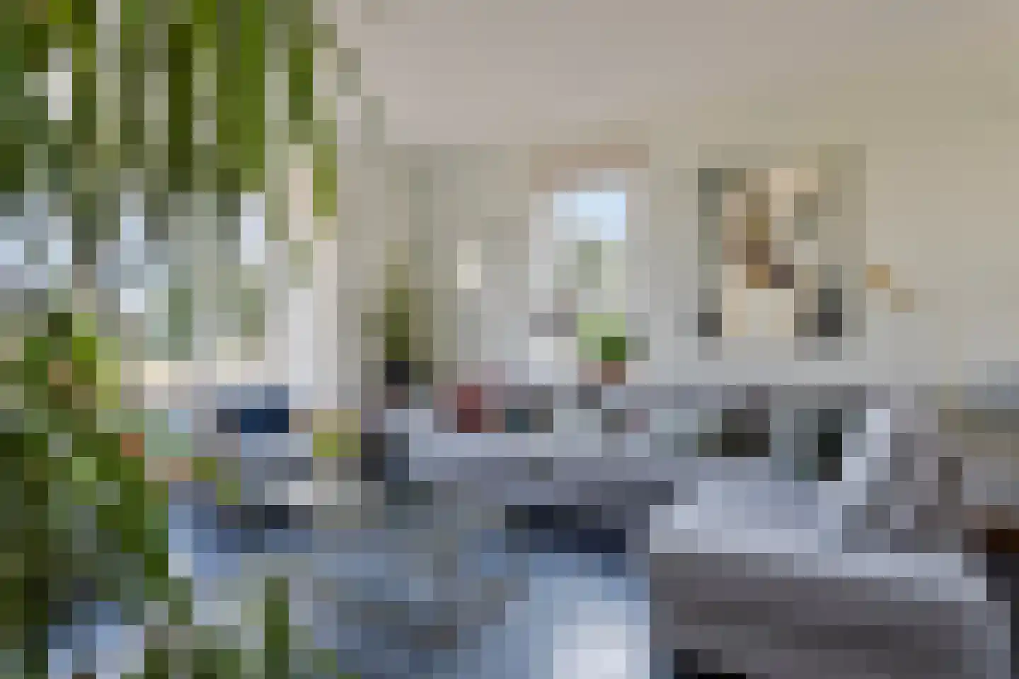Quarleshavenstraat 32 Nieuw- en Sint Joosland thumbnail 13