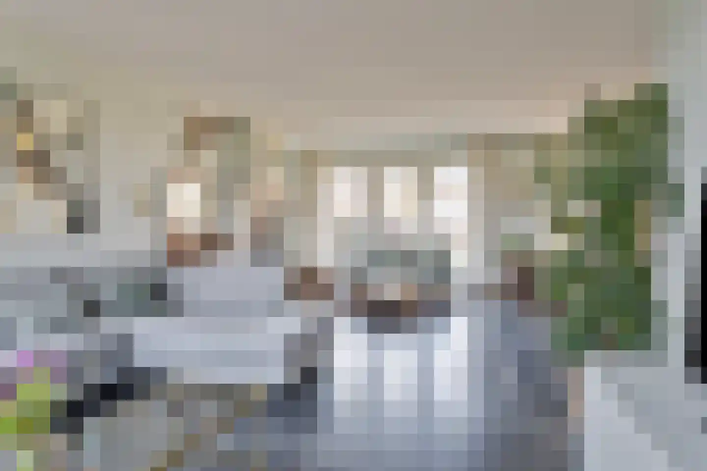 Quarleshavenstraat 32 Nieuw- en Sint Joosland thumbnail 15