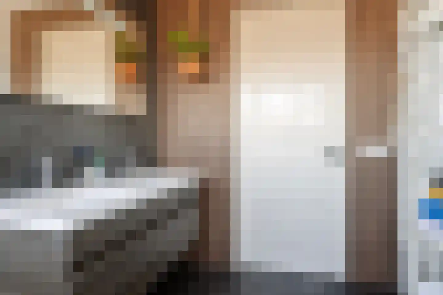 Quarleshavenstraat 32 Nieuw- en Sint Joosland thumbnail 44