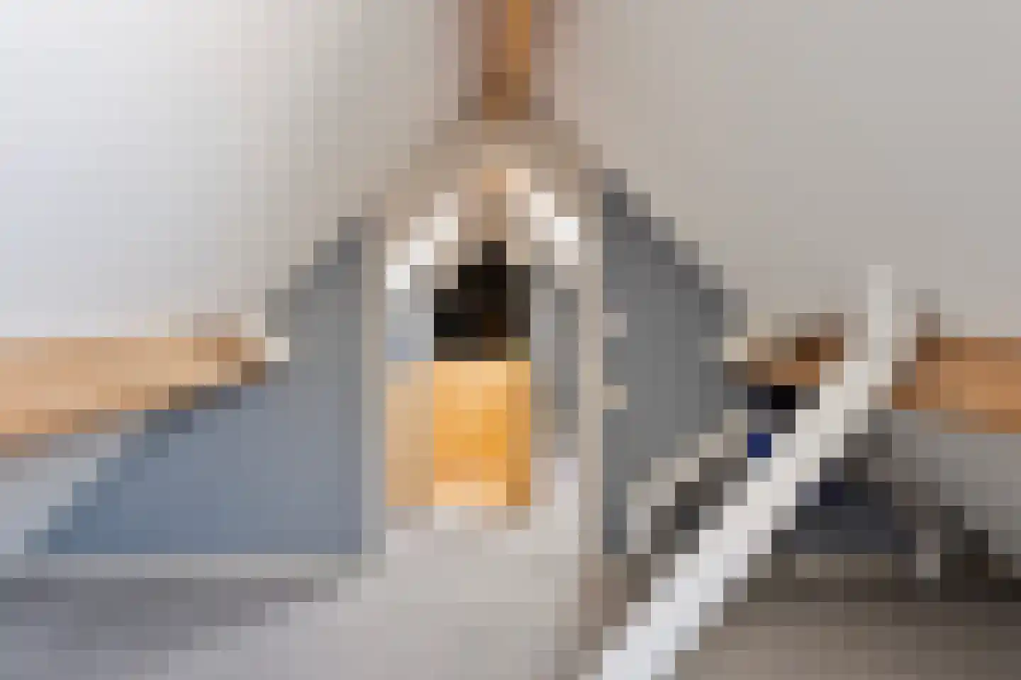 Quarleshavenstraat 32 Nieuw- en Sint Joosland thumbnail 55