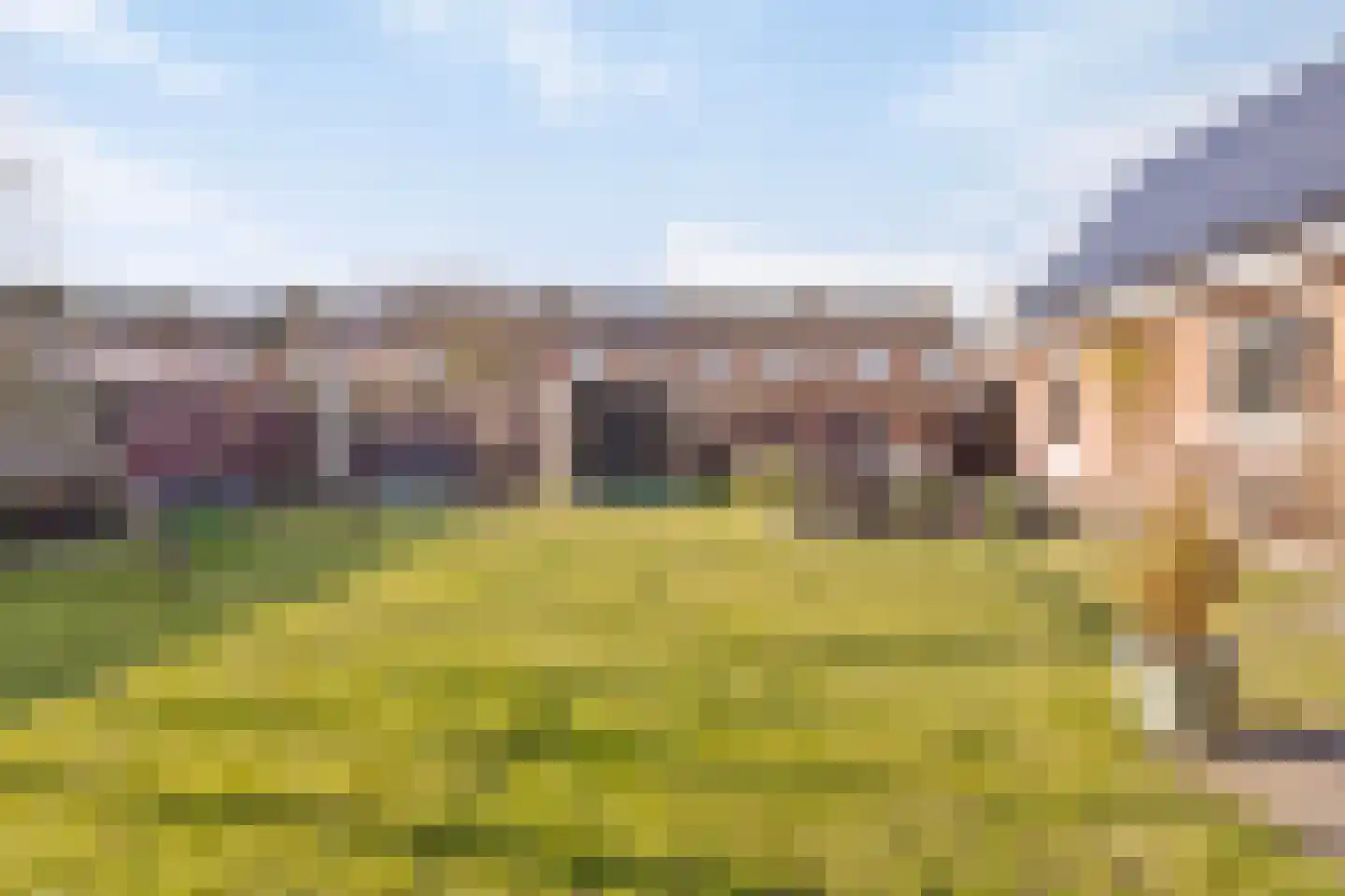 Quarleshavenstraat 32 Nieuw- en Sint Joosland thumbnail 59
