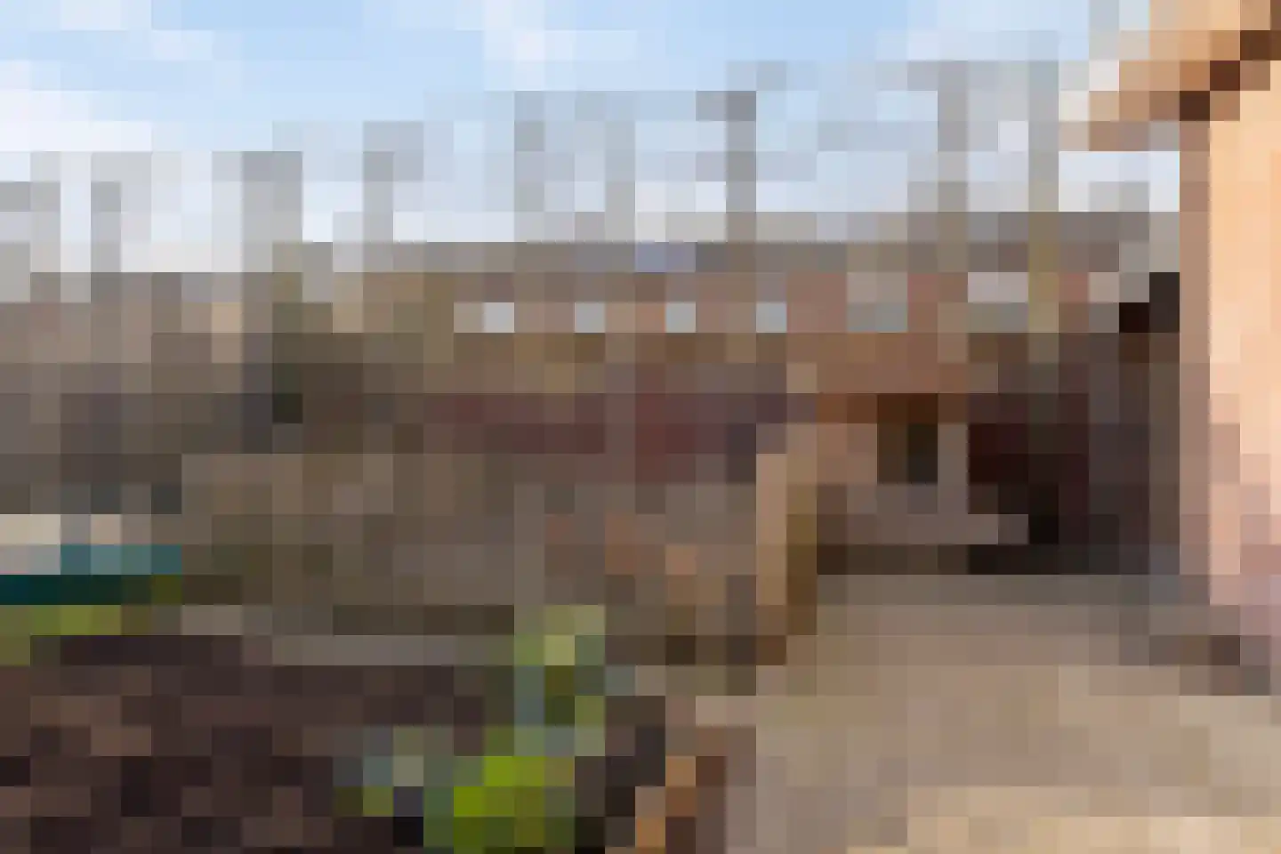 Quarleshavenstraat 32 Nieuw- en Sint Joosland thumbnail 68