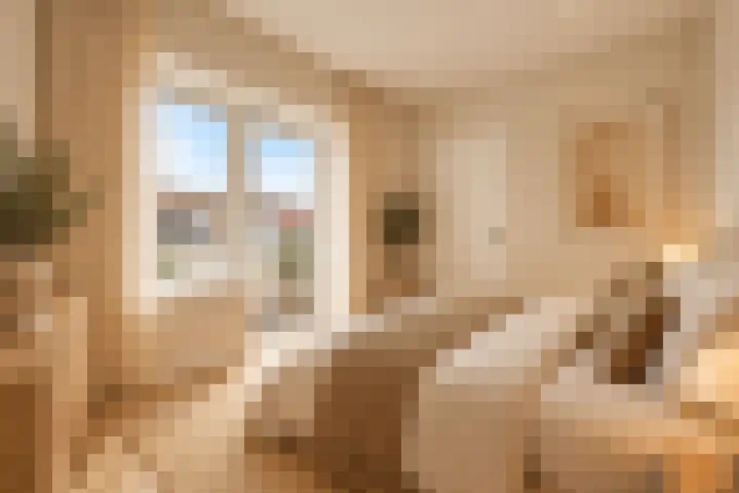 Quarlesstraat 2 C Den Haag thumbnail 11