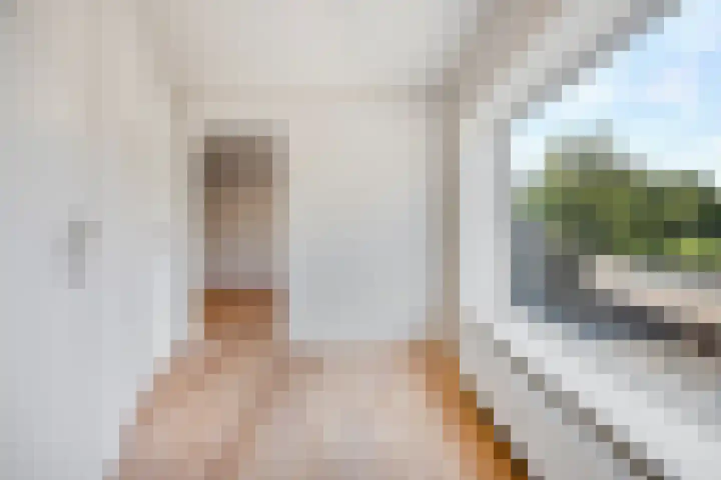 Quarlesstraat 2 Den Haag thumbnail 9