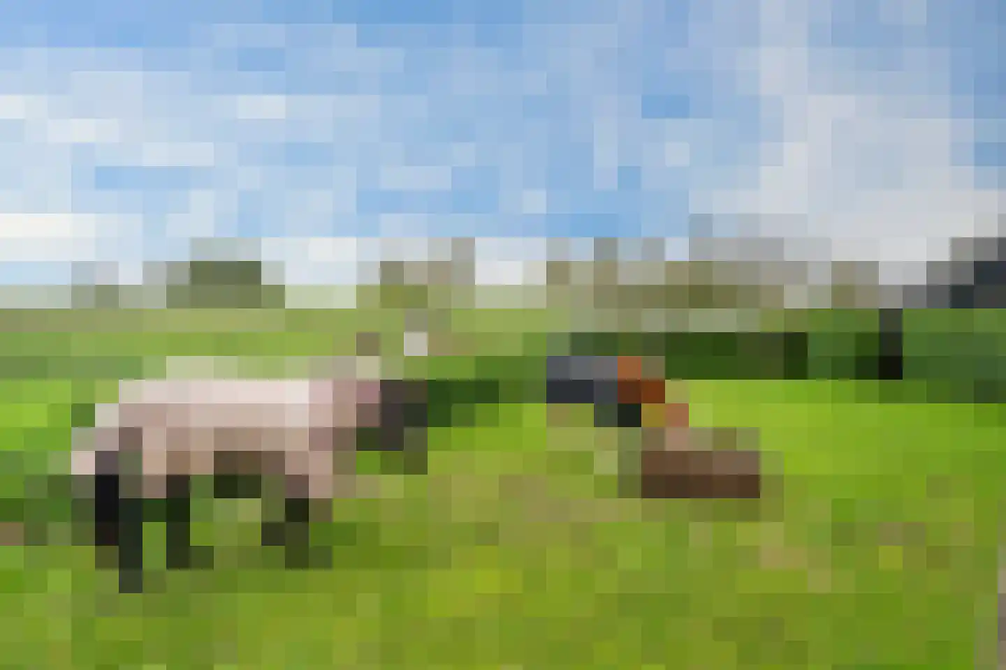 Quartier 5 Oud-Vossemeer thumbnail 22