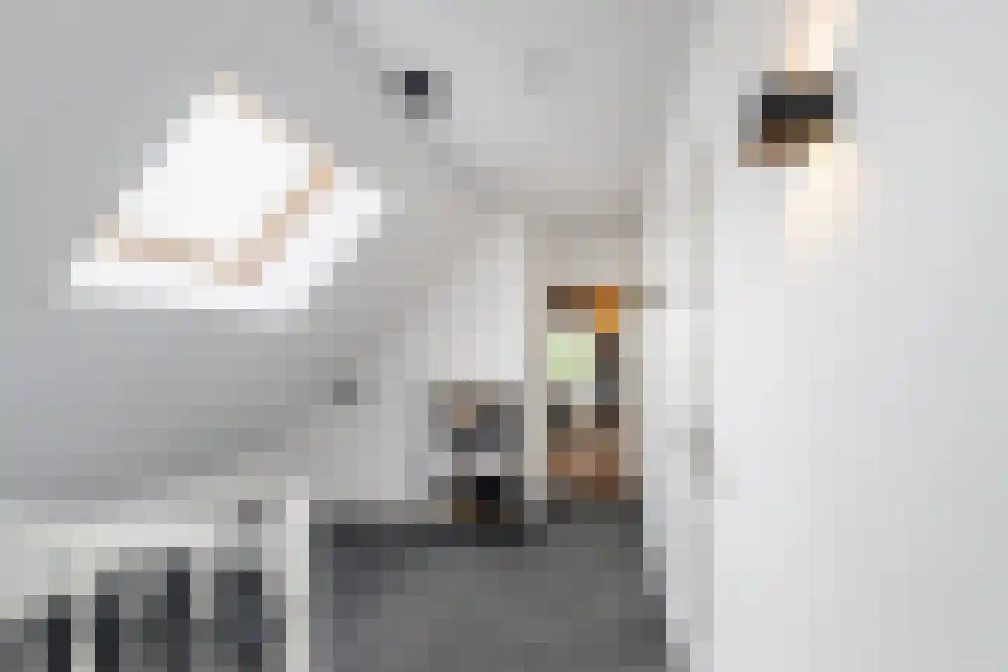 Quartier 5 Oud-Vossemeer thumbnail 33