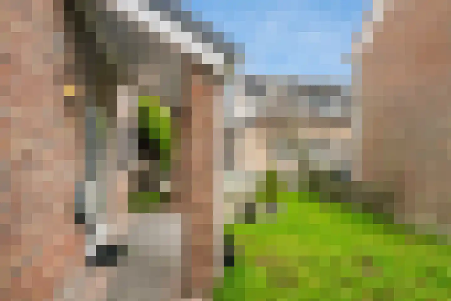 Quartier 5 Oud-Vossemeer thumbnail 9