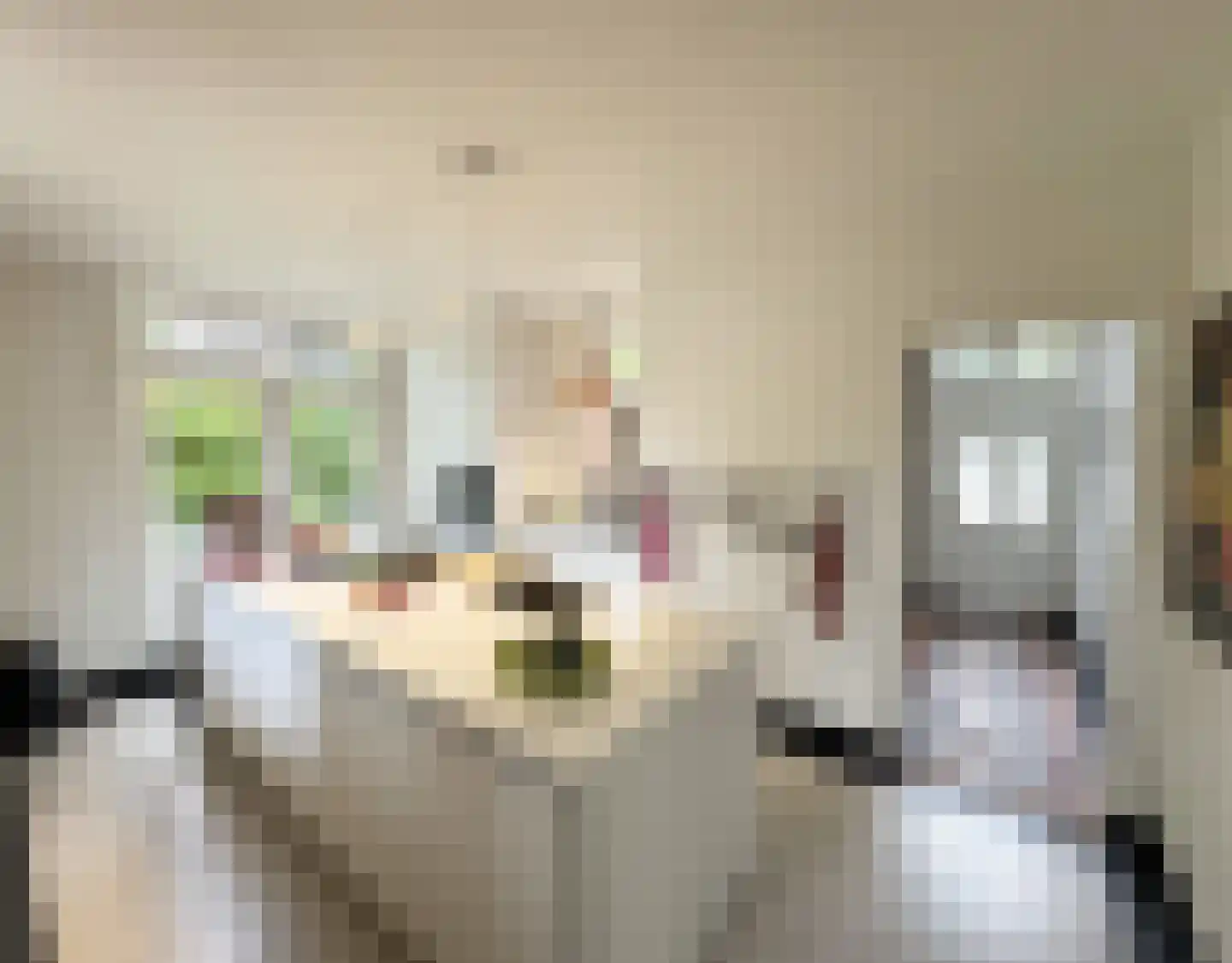 Quatre Brasweg 1 b Eefde thumbnail 16