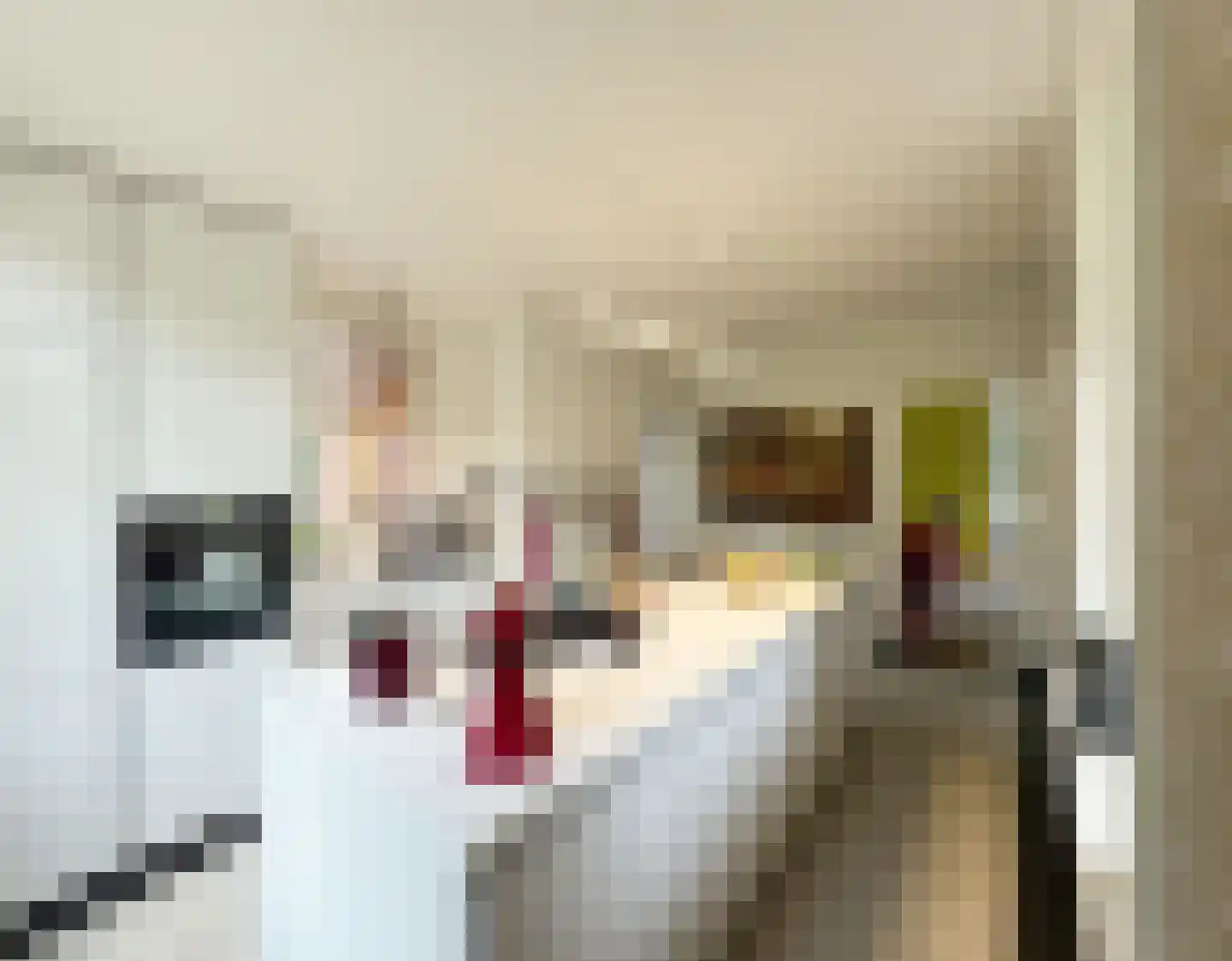 Quatre Brasweg 1 b Eefde thumbnail 17