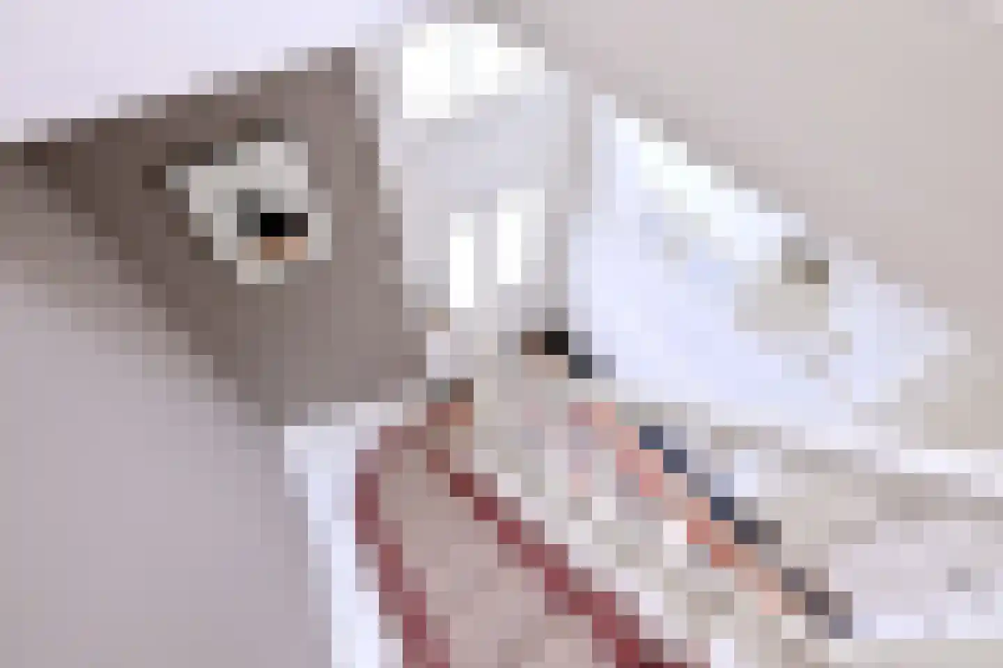 Quatre Brasweg 1 b Eefde thumbnail 21